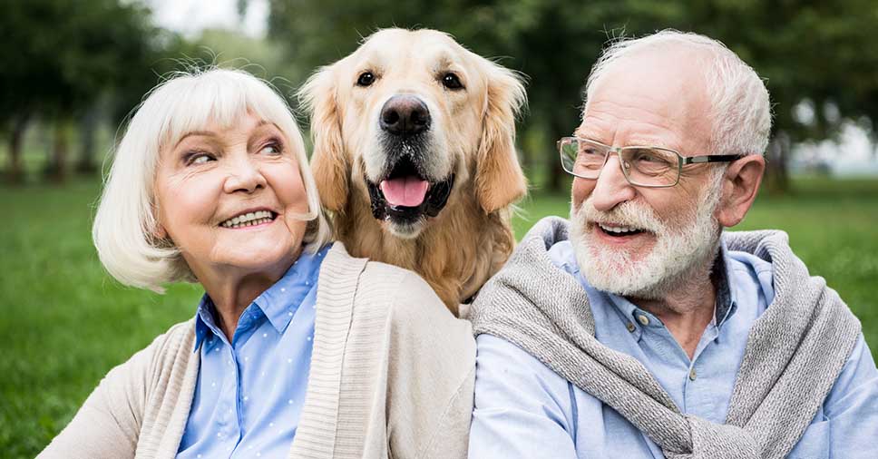 Vida longa e feliz: 6 hábitos para manter seu cão mais saudável