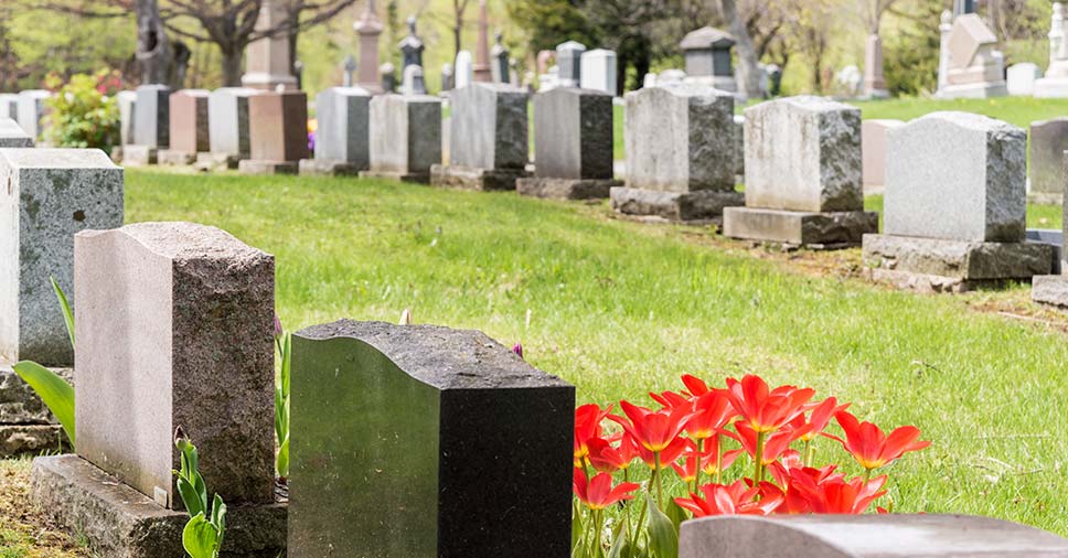 Vemos um cemitério. Conheça algumas soluções da superlotação de cemitérios!